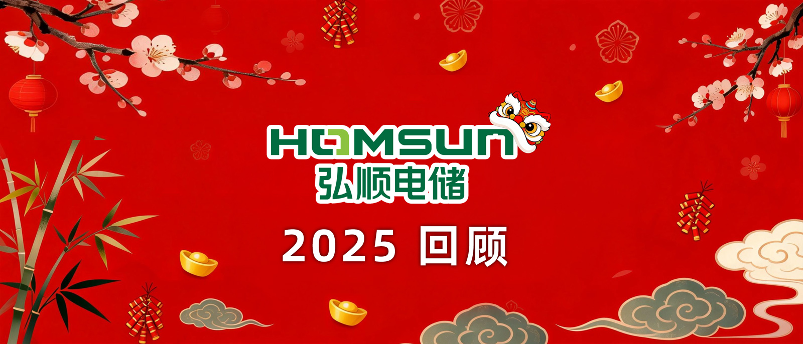 Homsun Electric Storage's 2025
